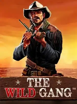 Slot Game slot game the wild gang
